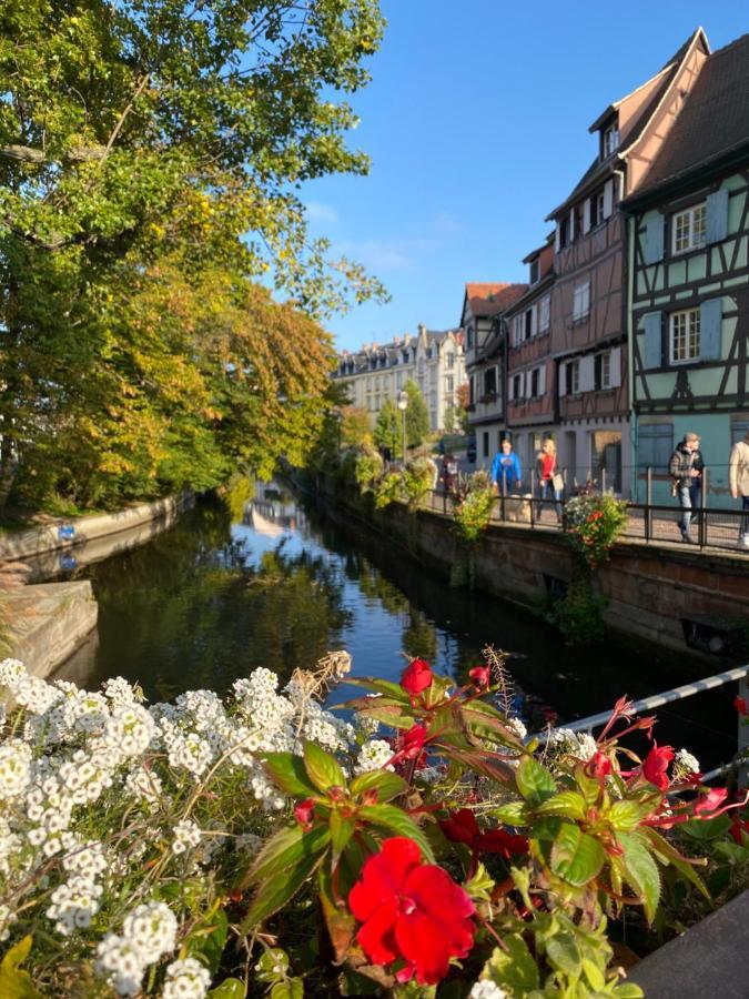 Alsace Clim Pres Colmar Jardin Balcon Parking Garage Velos, Motos Oberhergheim Exterior foto